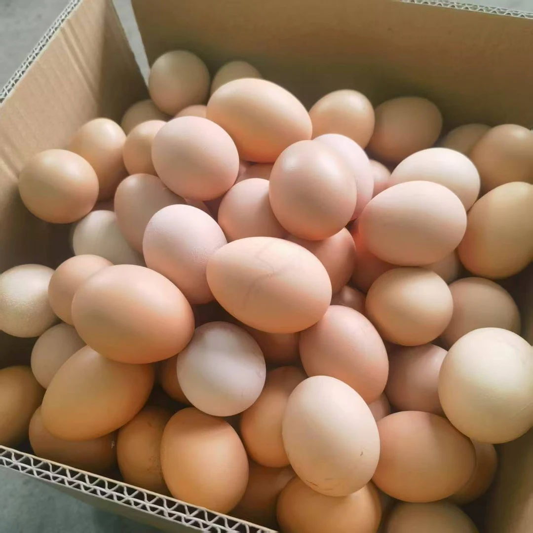 灵山香鸡【土鸡蛋】农家新鲜土鸡蛋月子儿童凤凰汤整箱发货