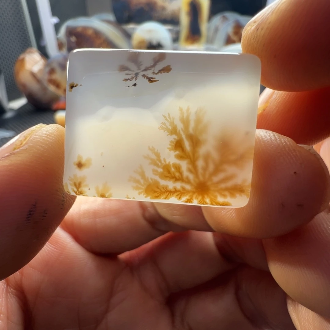 未镶嵌玛瑙/玉髓珠宝奇石