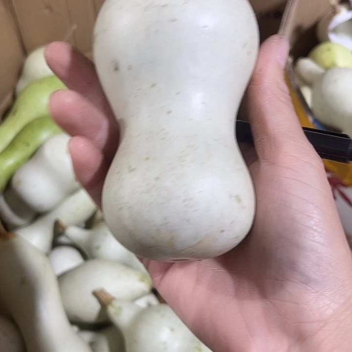 大果紫檀（缅甸花梨）張*