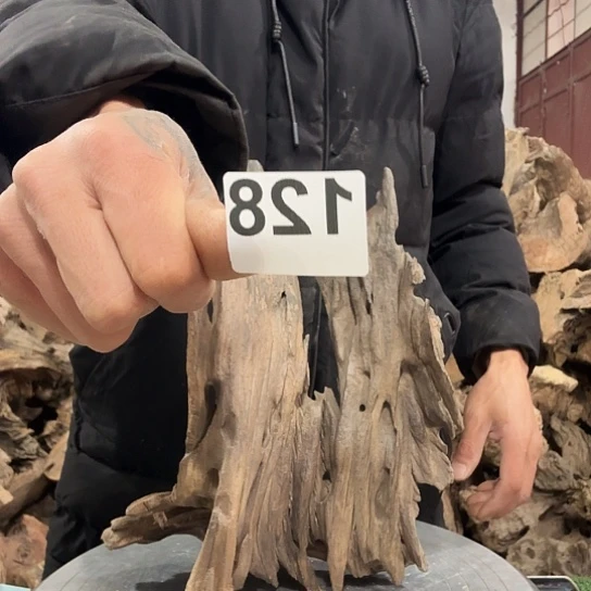 老****呢紫砂噜啦啦啦啦啦啦