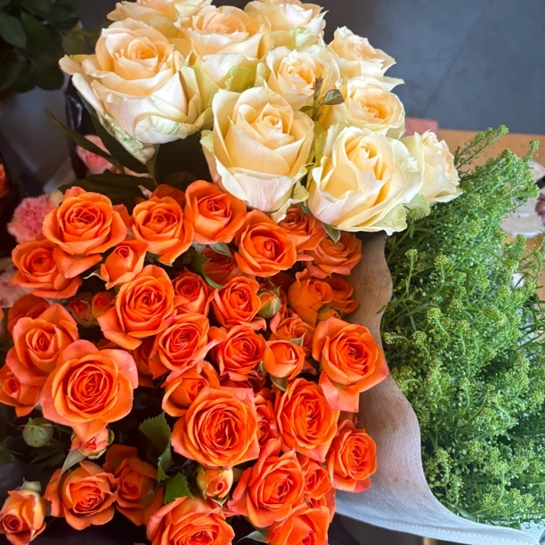 【搭配购】蜜桃加丹霞加绿菱草