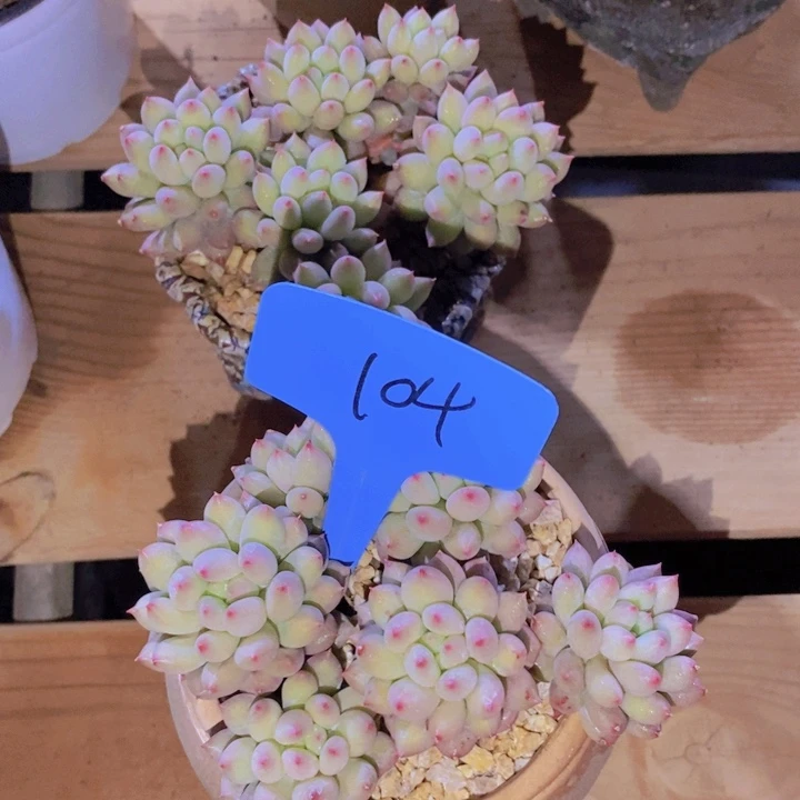 风**人我自己在网上给他们