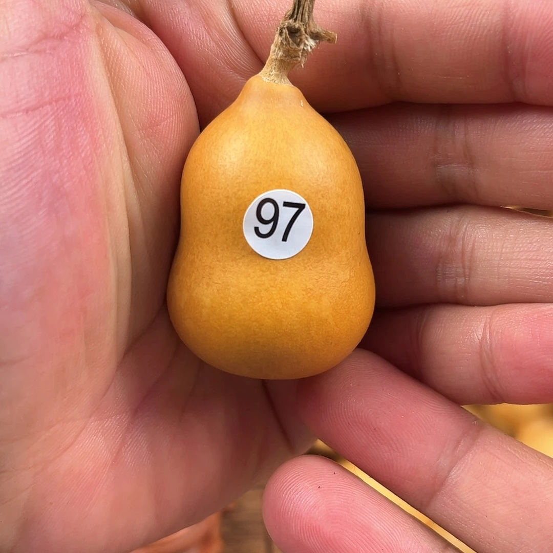 三葫芦葫芦葫芦葫芦 97