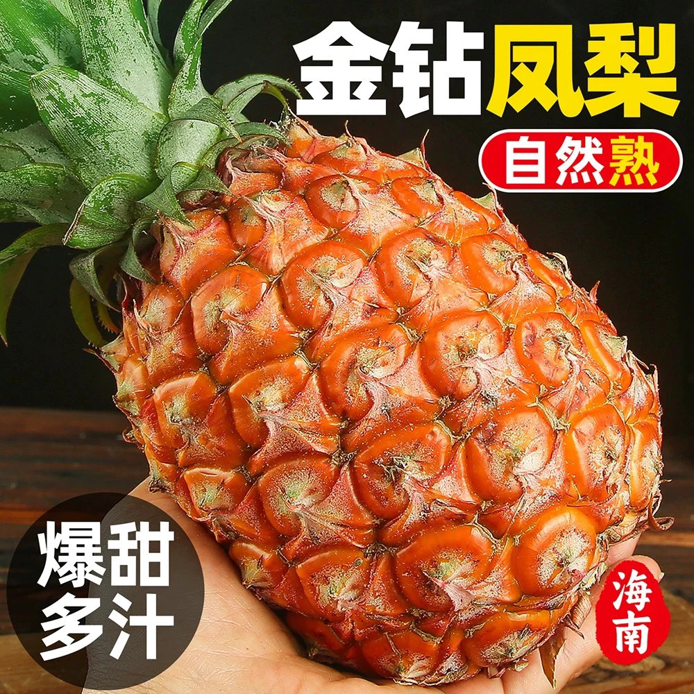 【坏果包赔】正宗海南金钻凤梨手撕凤梨新鲜应季水果树上熟当整箱