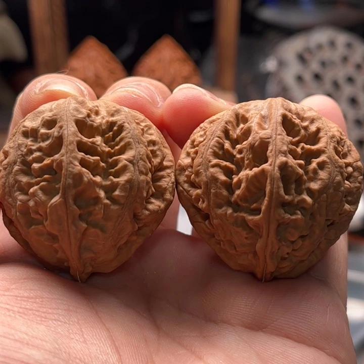 文玩核桃把件楸大胖42