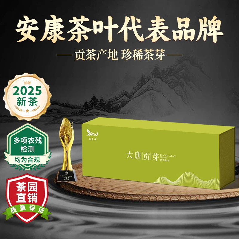 中秋礼盒装明前特级雀舌2025新茶陕西安康富硒茶产区高山高级绿茶