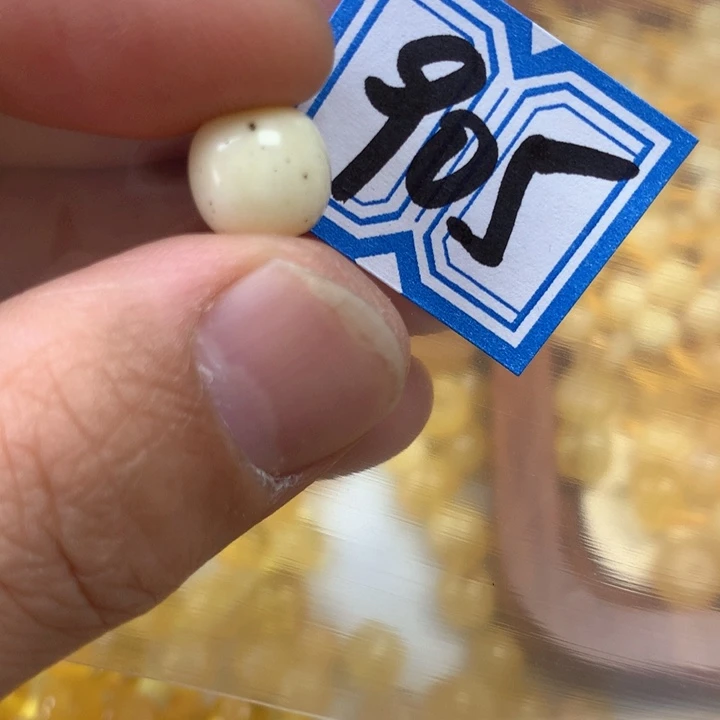 裸石琥珀未镶嵌瑕疵10