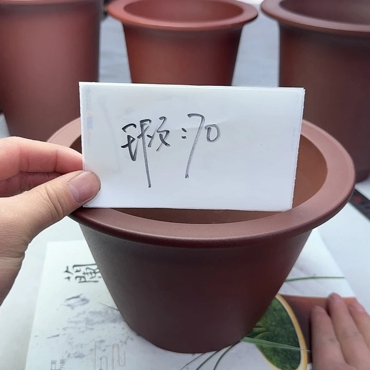 紫砂2222222222222222