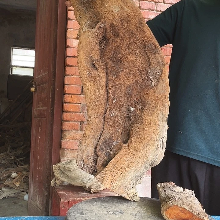 平***福柏木崖柏崖柏崖柏崖柏崖柏