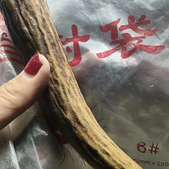 术***攻鹿角鹿角鹿角鹿角鹿角鹿角