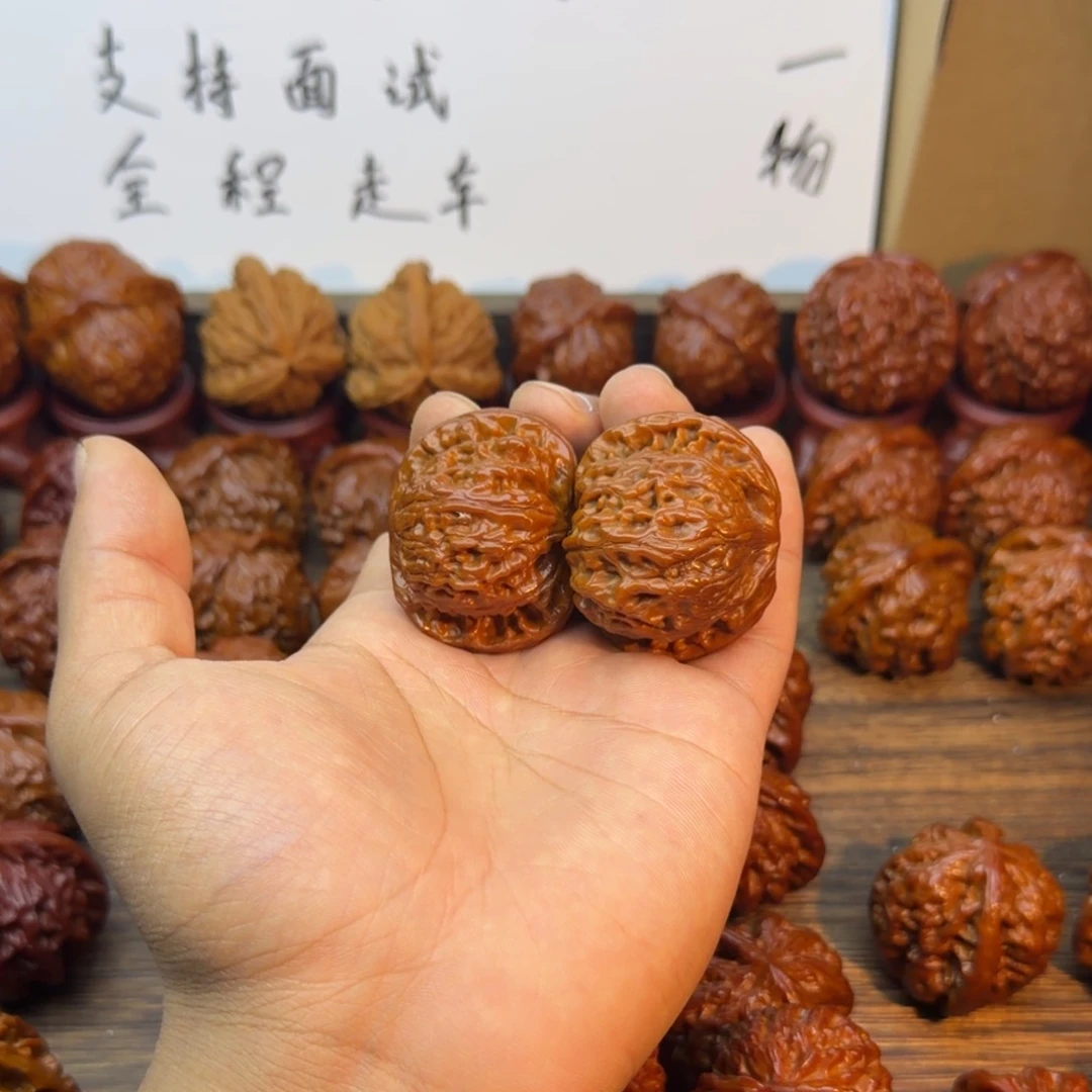 菩提籽类平顶山狮子头