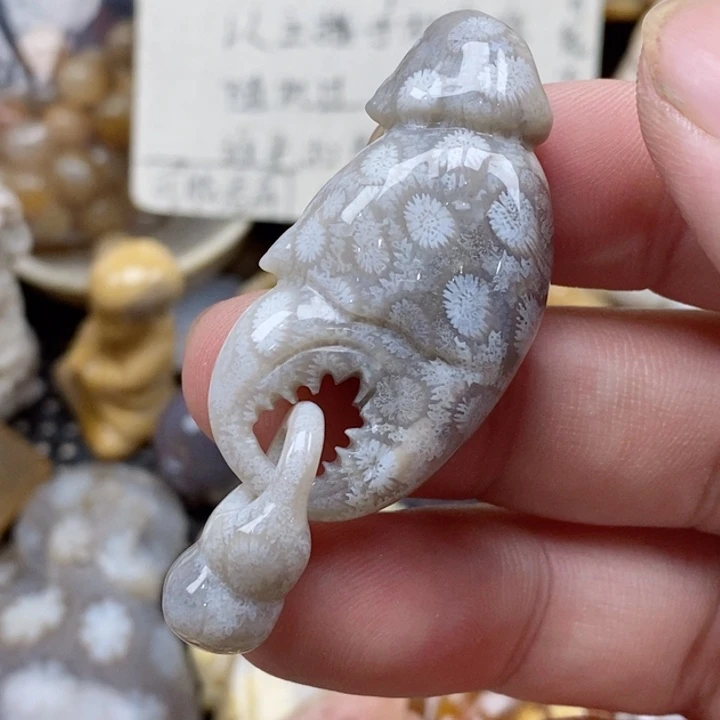 硅化珊瑚（珊瑚玉）未镶嵌颈饰