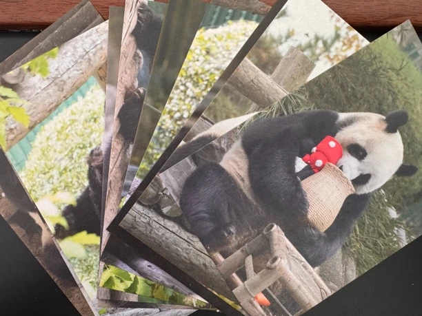 妙音小公主明信片一套10张，2025上半年新品