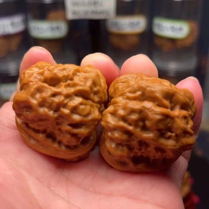 核桃手串/手链放漏款37延庆蛤蟆头