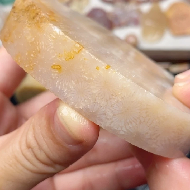 硅化玉手镯未镶嵌