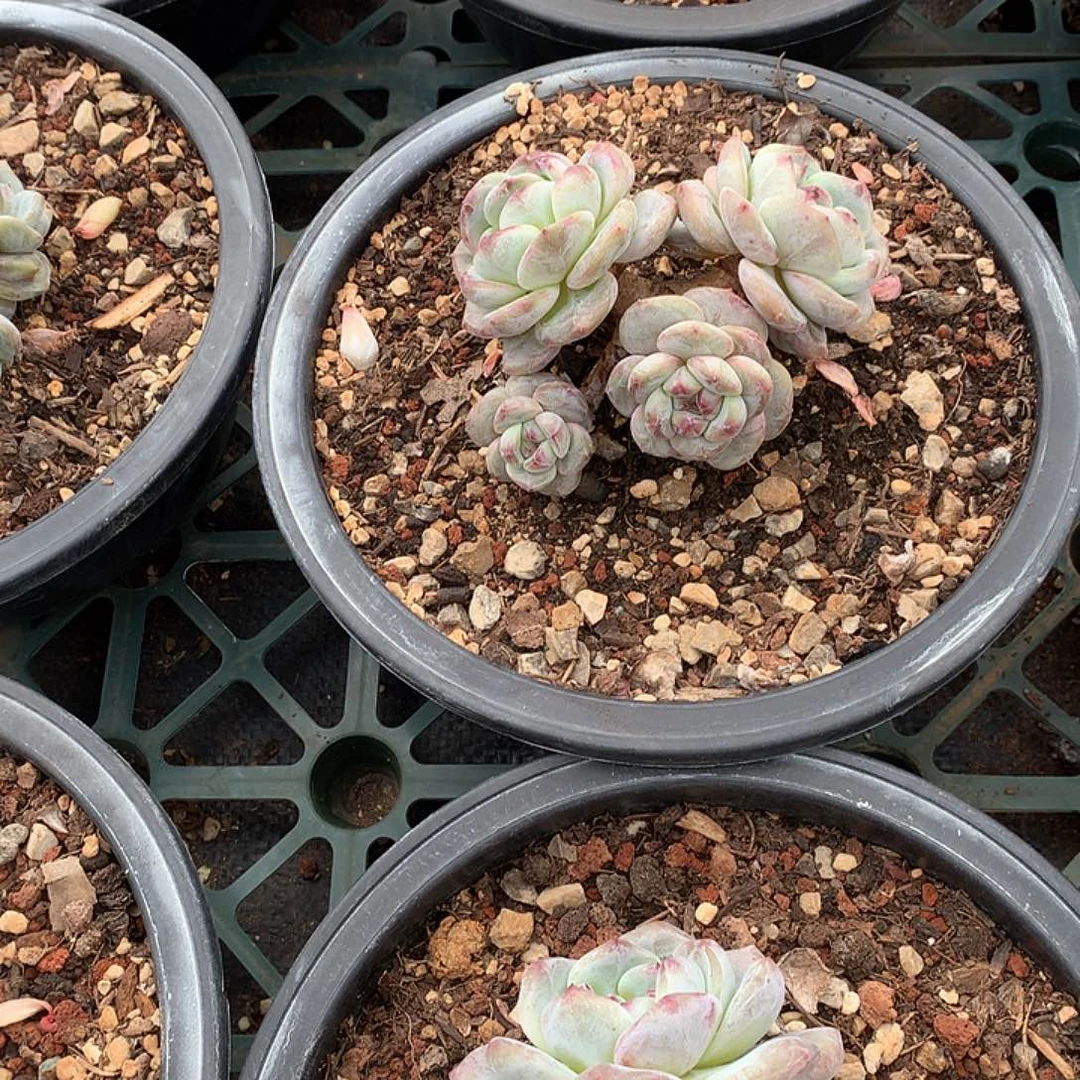 哈哈哈哈哈哈哈哈哈6