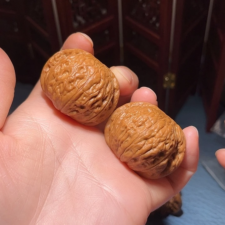 40全品小铁锤……精品