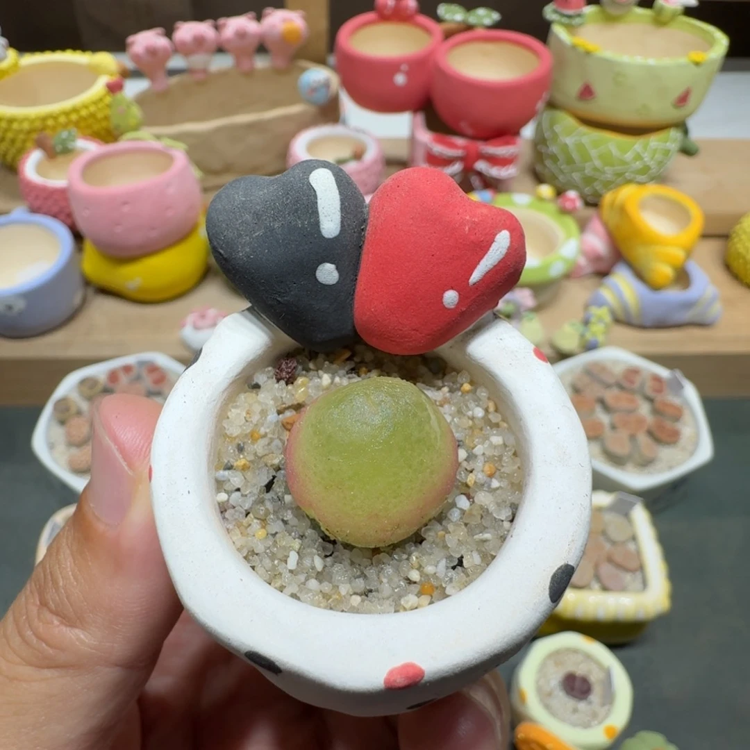 蘑菇233灯泡灯泡灯泡