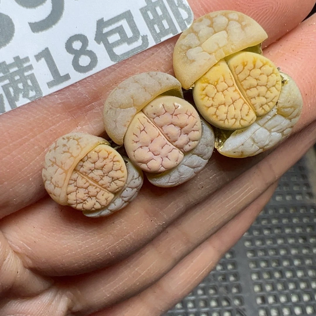 【闪购商品】394……