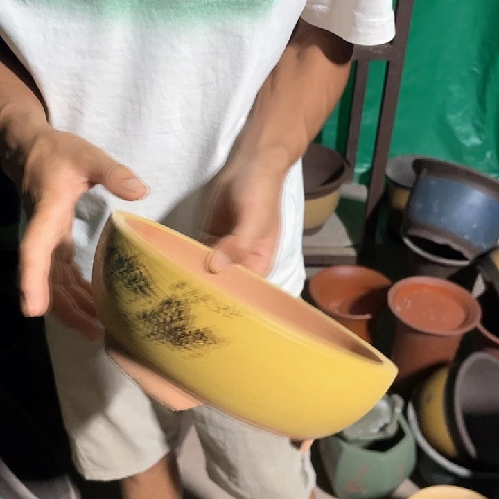 全部花朵花盆花盆花盆花盆花盆