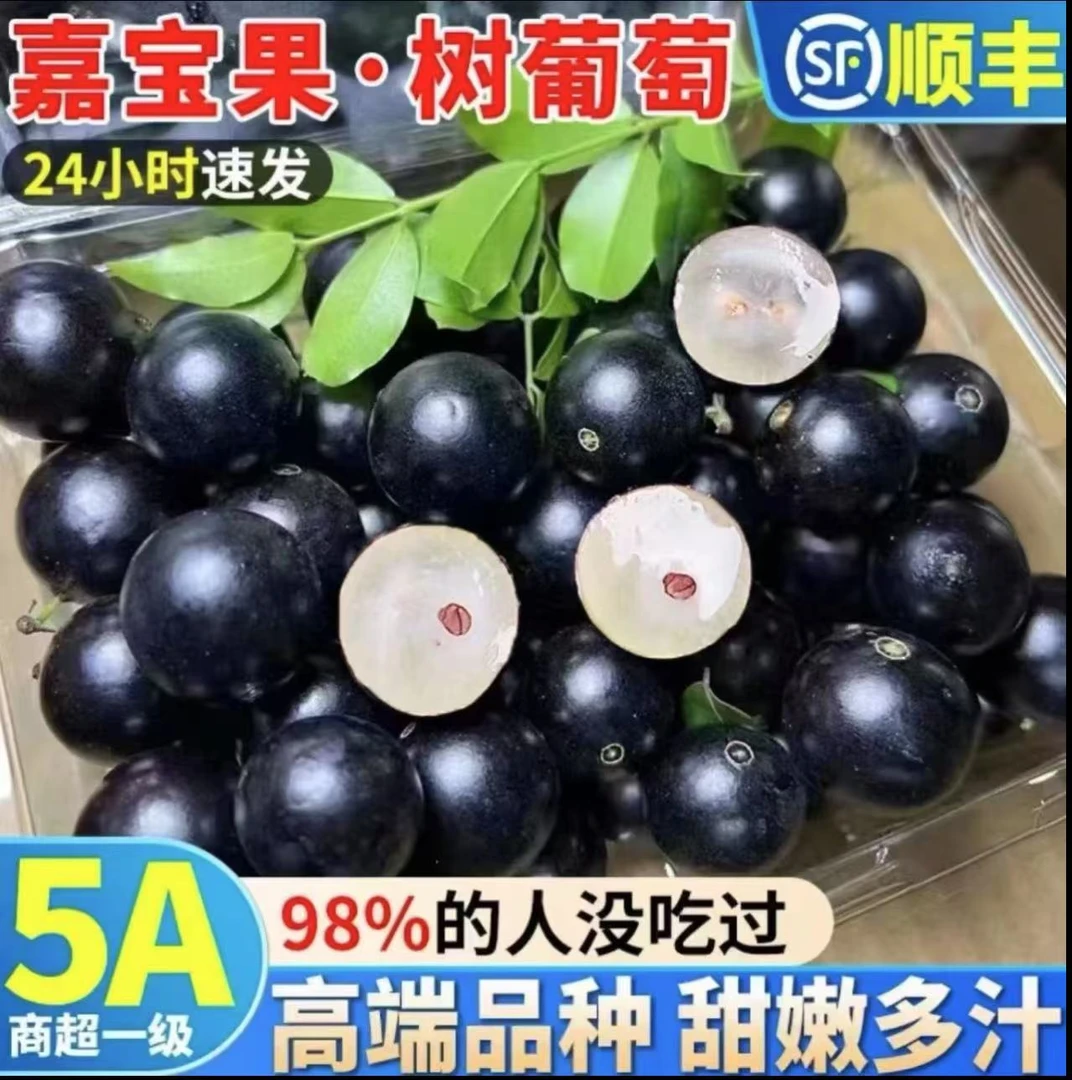 【顺丰/空运】沙巴嘉宝果新鲜水果树葡萄酸甜多汁孕妇适用营养水果