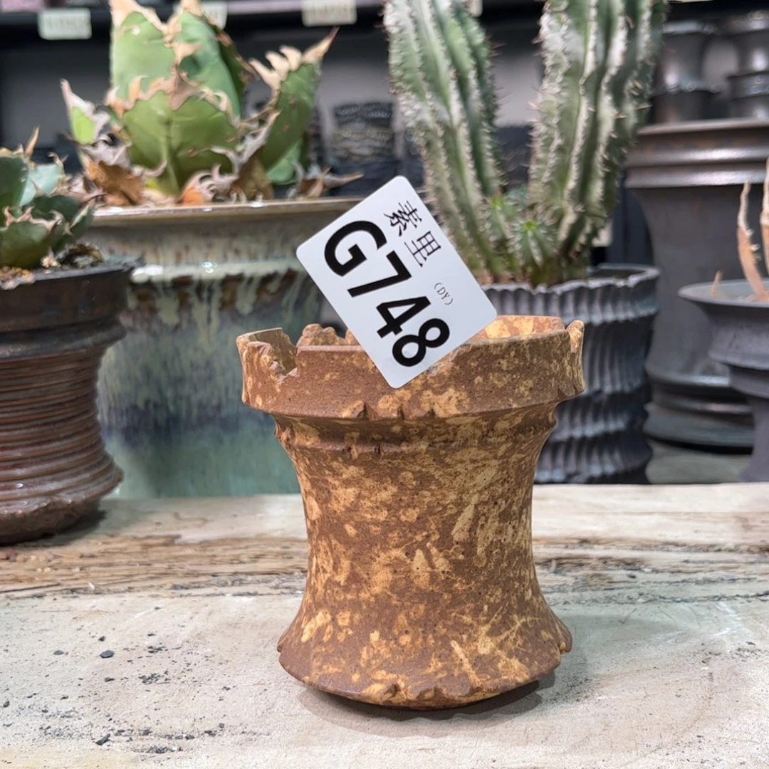 陶内口8.5高9.5景德镇