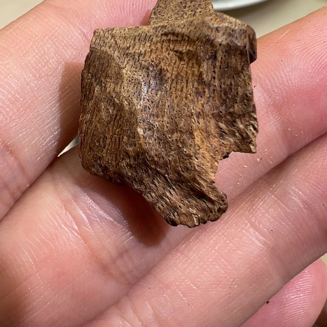 沉香沉香碎屑香港土熟包头1.18g