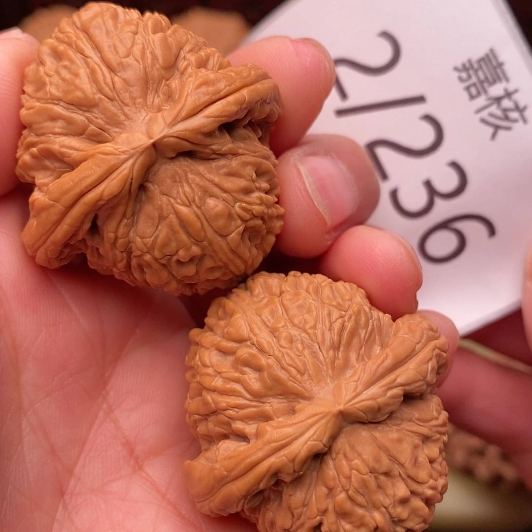 文玩核桃把件36白狮子