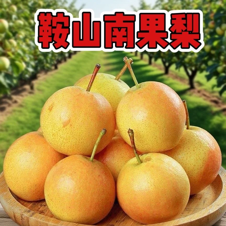 鞍山正宗细皮南果梨酸甜多汁阳面黄果包邮