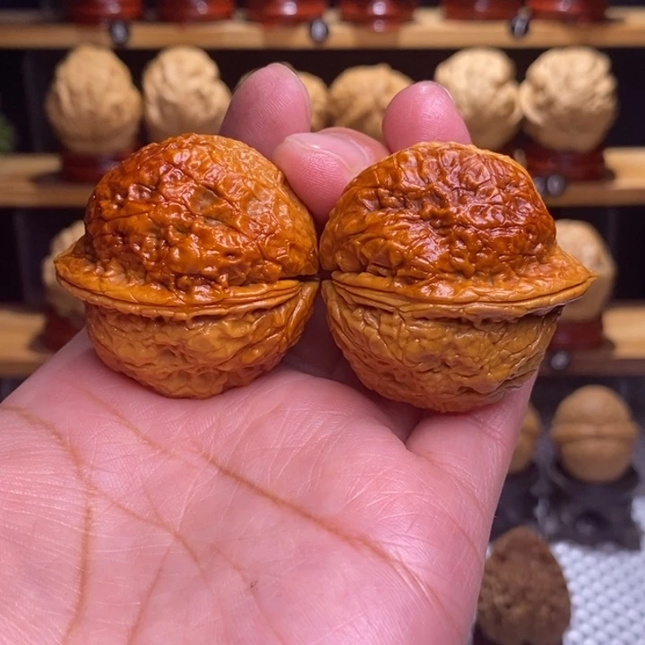 木质类云铁龙雀金蟾34号