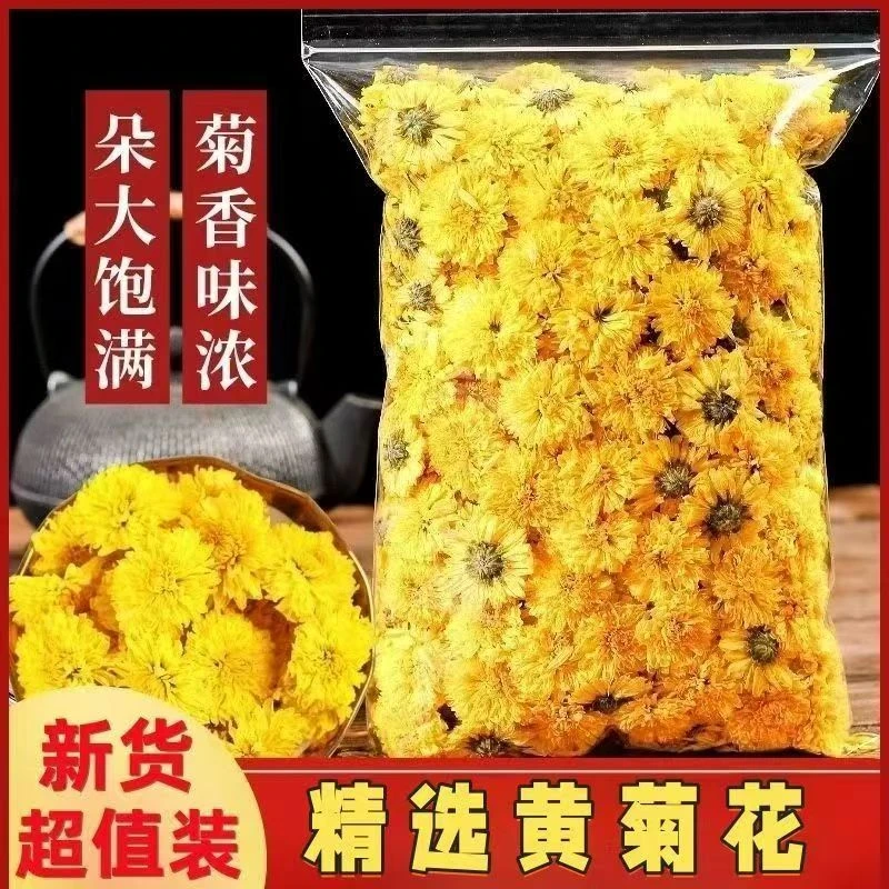 正宗黄菊菊花新货泡水喝花茶批发价菊花婺源黄菊花草茶源头厂家