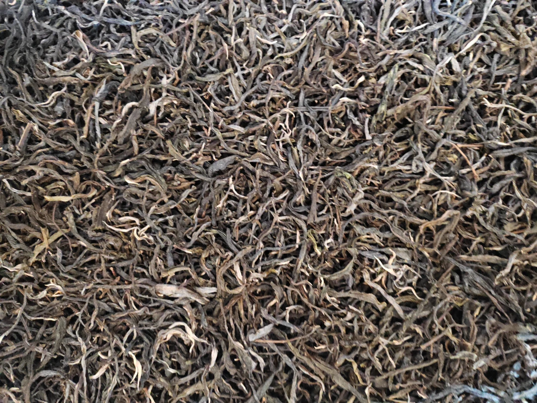 云南大叶种普洱茶生茶曼岗单株50克