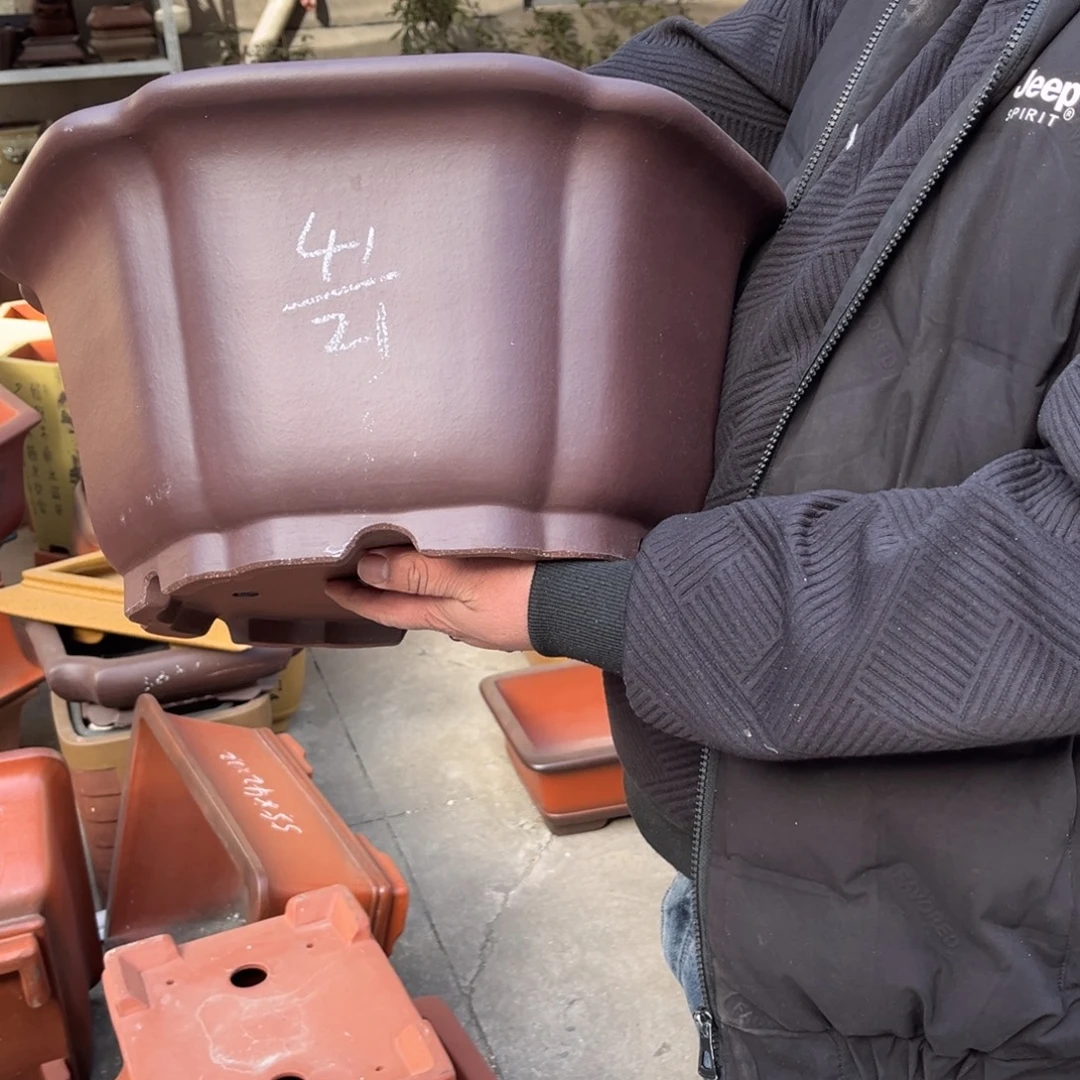 花盆紫砂盆景艺术