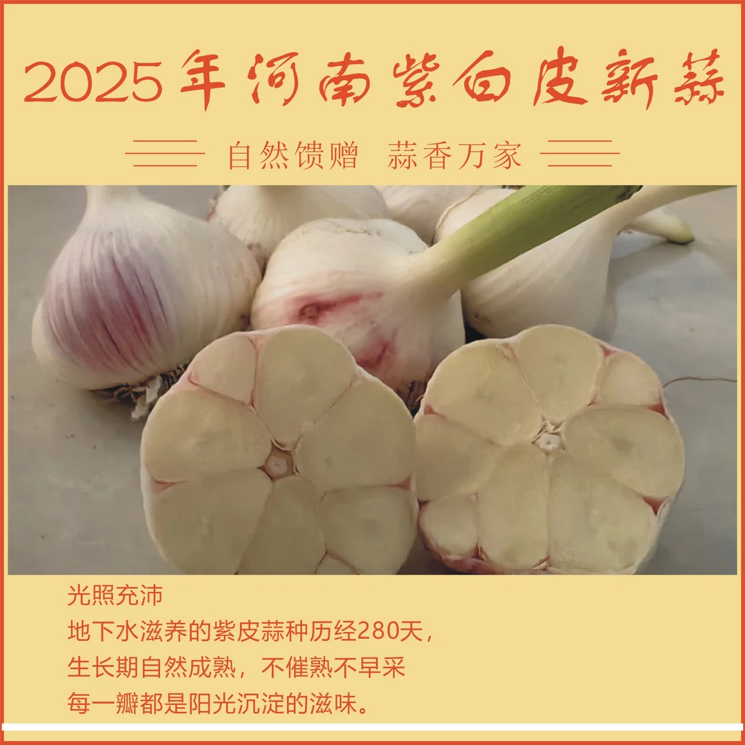 (5斤)2025年河南紫白皮新鲜大蒜头湿蒜头