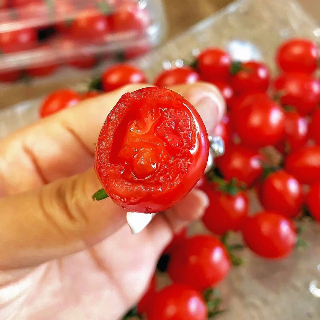 【只发乌市及周边】玲珑小番茄千禧圣女果新鲜2公斤乌市九鼎直发