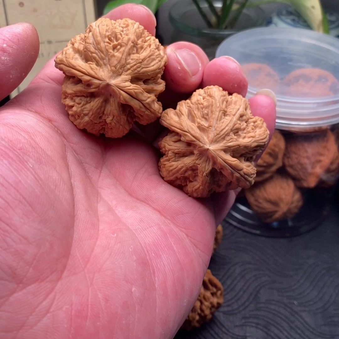 核桃把件大粗筋吧43尺 全品