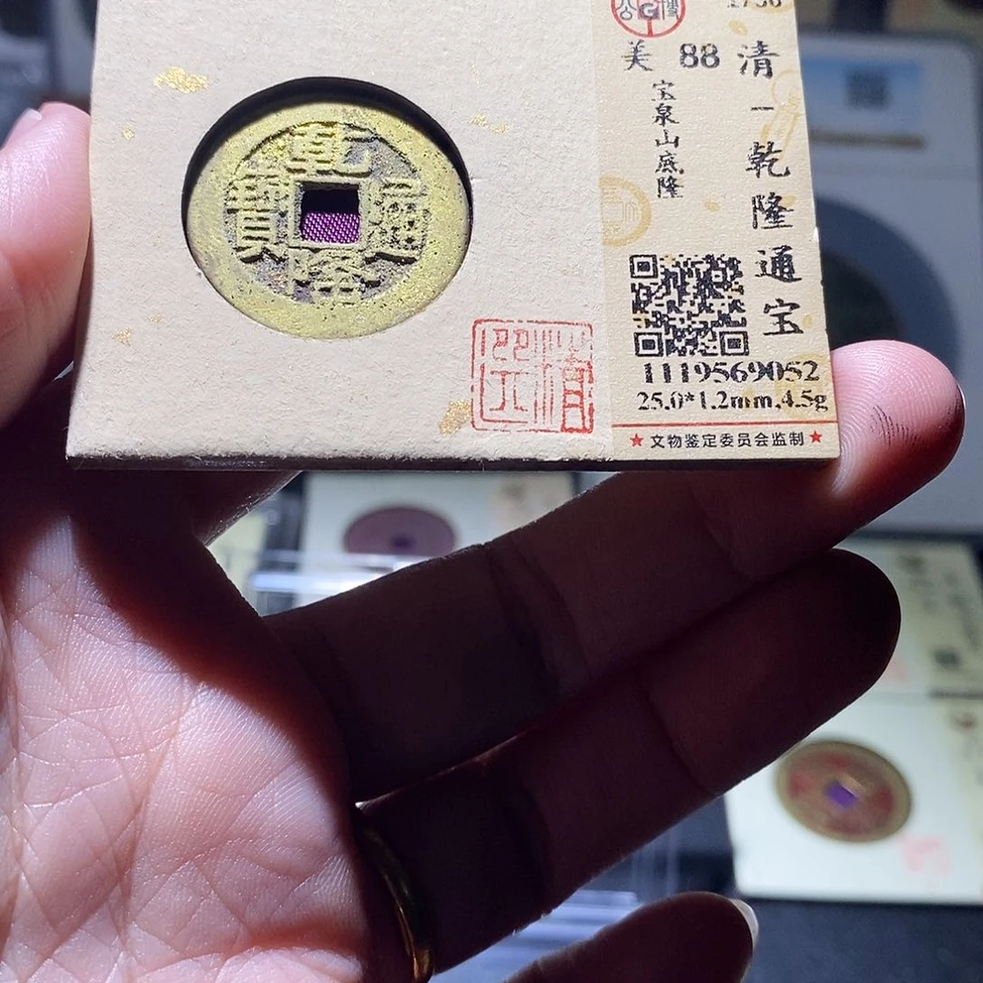 贝壳7 恭喜发财恭喜发财