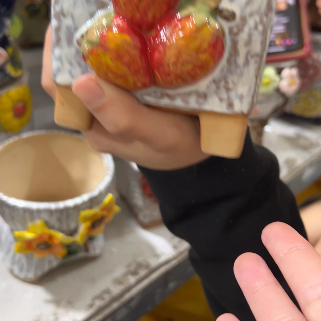 花盆，拍满20发货，退款拉黑
