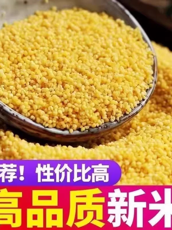【新疆包邮】现磨含硒带胚芽黄小米营养丰富粘糯香醇熬粥佳品