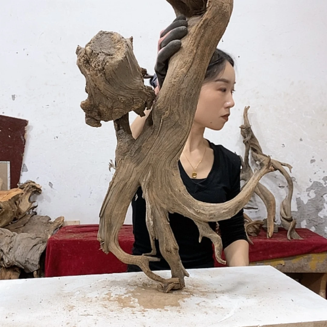 【闪购商品】柏木追*我们都是好孩子