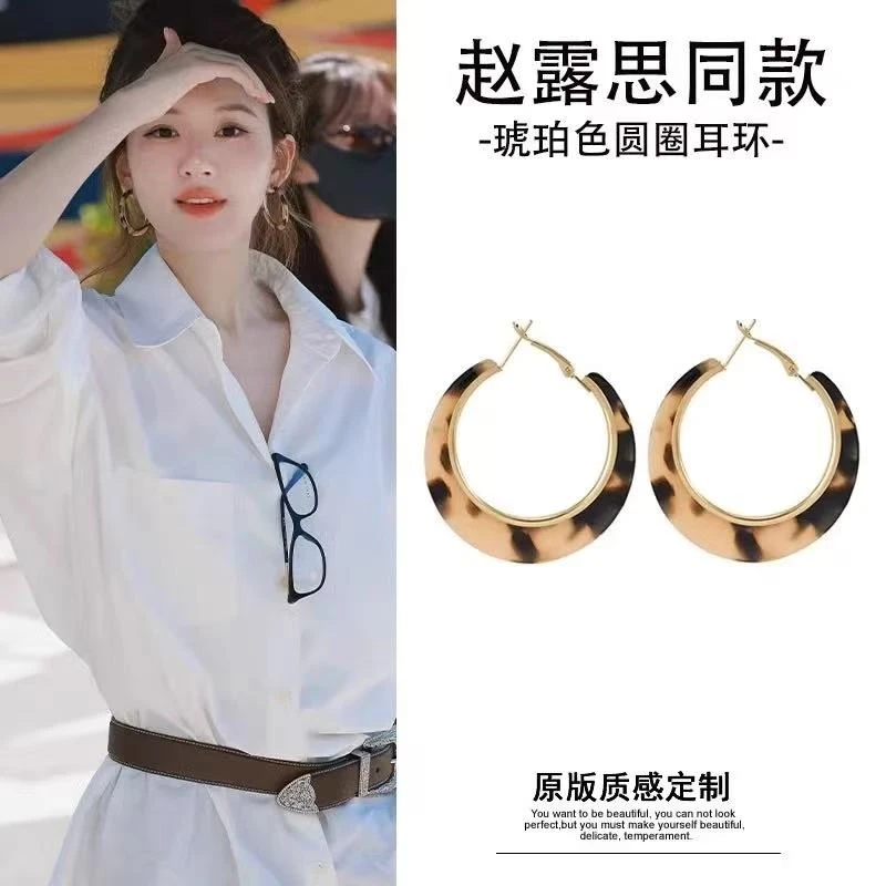 铜合金耳饰 赵露思同款豹纹耳圈女耳环气质高级感独特雅丹风耳钉