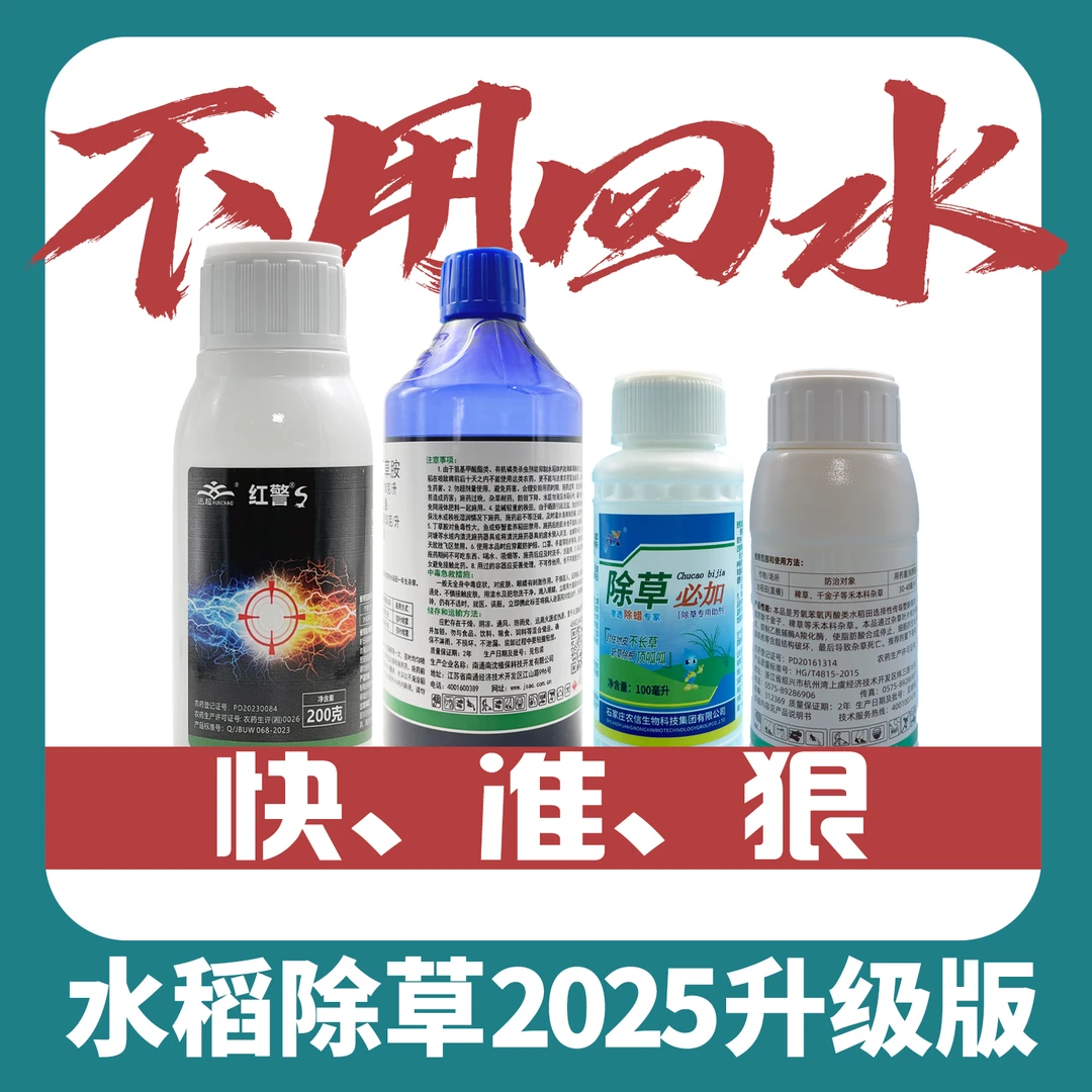 水稻苗后除草剂 高效水稻除草剂敌稗氰氟草酯抗性稗子