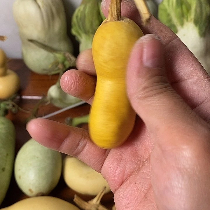 ****飞青皮葫芦手把件摆件