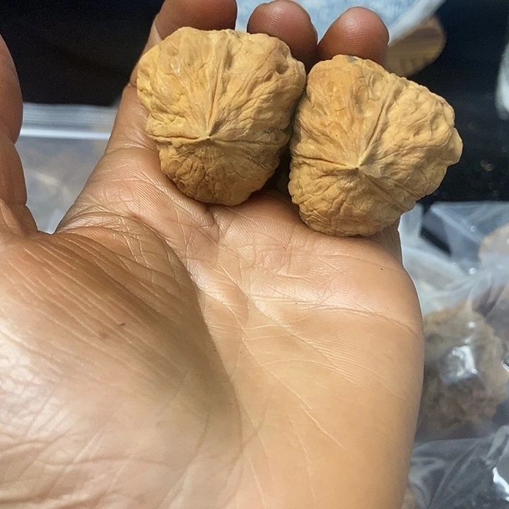 把件文玩核桃云南铁核桃基地69