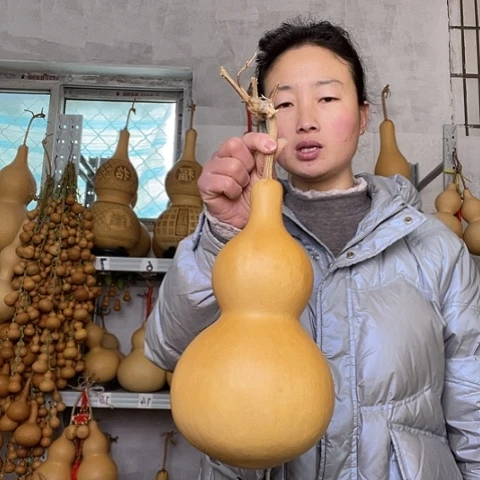 倾*天然植物葫芦文玩