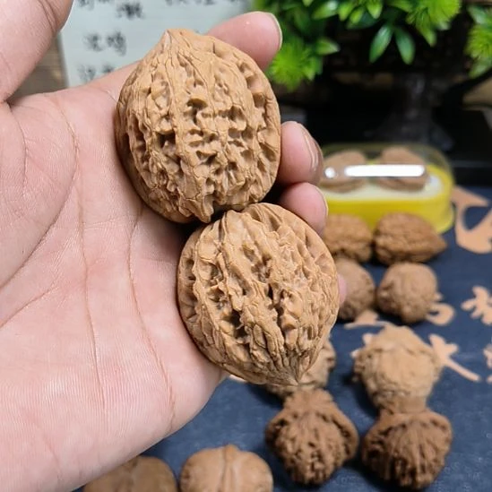 把件文玩核桃，43尺大沽石，全品无修，2号