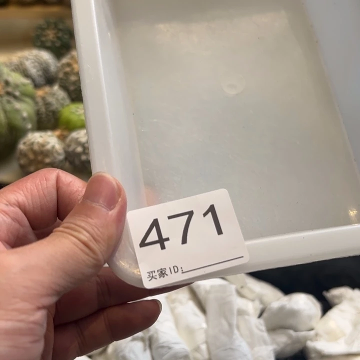 苏***圆兜星球仙人球471号