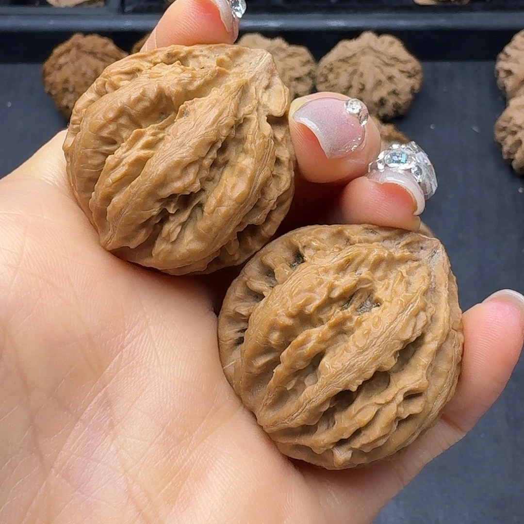 桃木突突突突突突突
