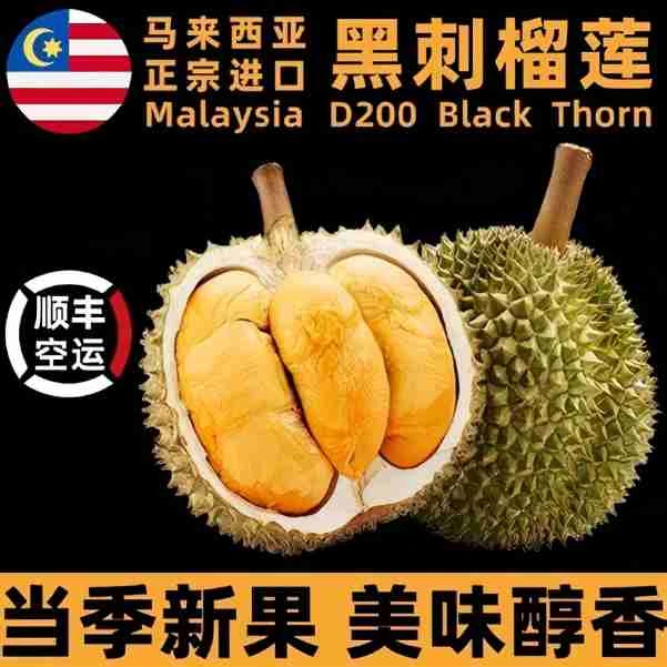 AA马来西亚槟城黑刺D200树熟液氮锁鲜【保5房保35%出肉开果不退】