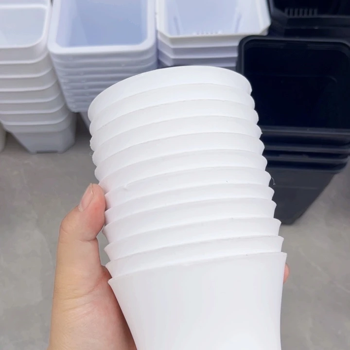 白万象口9高9一组20个